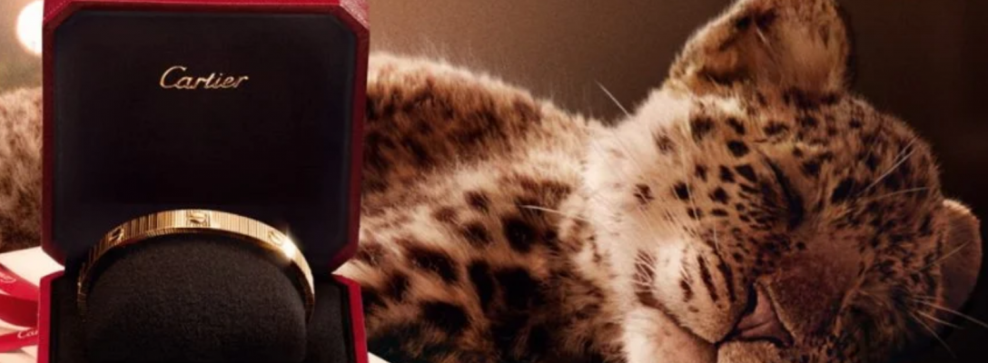 Top 10 des meilleures campagnes publicitaires 2025 – 2026